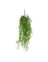 Pendentif Ficus Couleur Vert 81 Cm