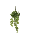 Potos Pendentif Couleur Vert 14x58x20cm