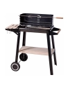 Barbecue Rectangulaire Carbone 54x34x6,5cm