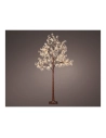 Arbre Led Gypsophila Purpurine Ip44 180cm