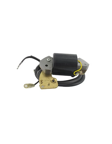 Bobine Adaptable Pour Moteurs Robin Modèle Ec10. Remplace Origine: 106-70134-08, 106-70162-08, 106-70162-18, 1067013408