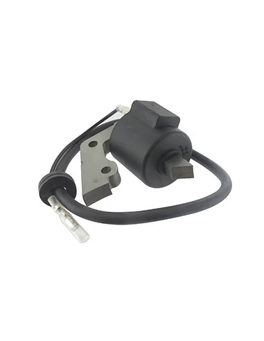 Bobine Adaptable Pour Moteurs Robin Modèles Ey20d.