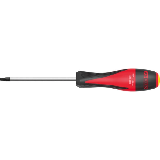 tournevis ultimate torx®, t10