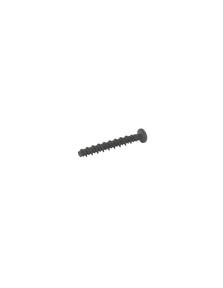 Vis D'origine Pour Moteur Briggs & Stratton - Séries: 100602 - Origine: 690700 ( Origine : 690700 )