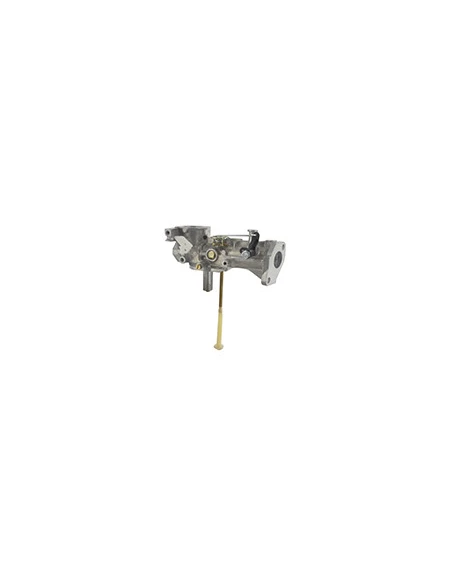 Carburateur Briggs & Stratton D'origine 498298 Pour Moteurs Horizontaux 5 & 6 Ch. Remplace Anciennes Références D'origine: 49053
