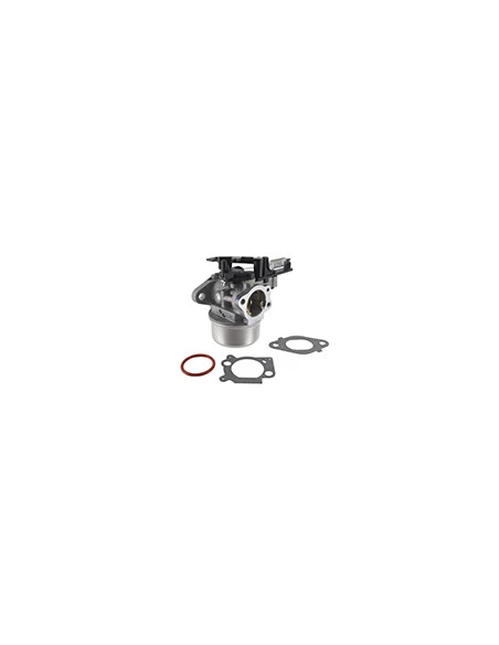 Carburateur Pour Moteurs Modèles 112p02, 112p05 Et 122q02 - Origine : 799226.