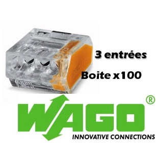 Borne de connexion Wago 2 entrees automatique x100 - 273-242