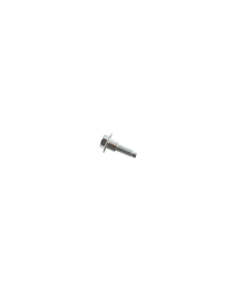 Vis Pour Moteurs Modèles 215802, 215805 Et 215807 - Origine : 799370.