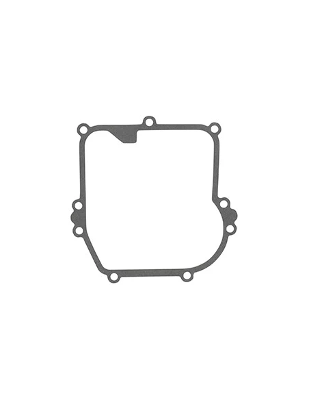 Joint De Carter Inférieur Briggs & Stratton Pour Moteurs Modèle 08p502. Origine: 799587.