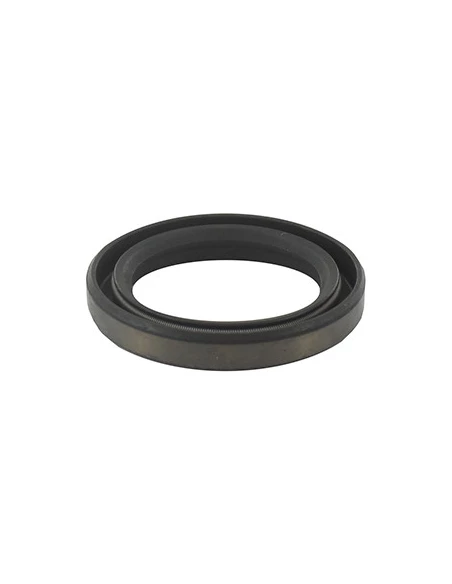 Joint Spi Pour Moteur Briggs & Stratton, Se Monte Sur Les Séries: 192402, 192407, 192412, 192417, 192432 - Origne: 391086, 39108