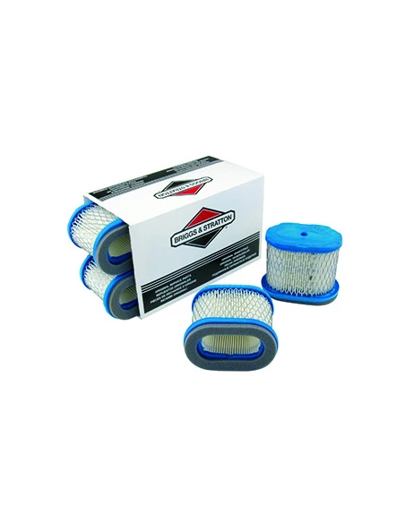 Jeu De 4 Filtres À Air Briggs Et Stratton Pour Moteurs 5,5 & 6,5 Ch. Intek Séries 121600 - Ohv - L: 100mm, L: 57mm, H: 76mm. Ori