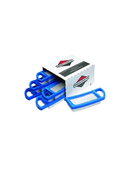Jeu De 6 Filtres À Air Briggs & Stratton Origine 794422.