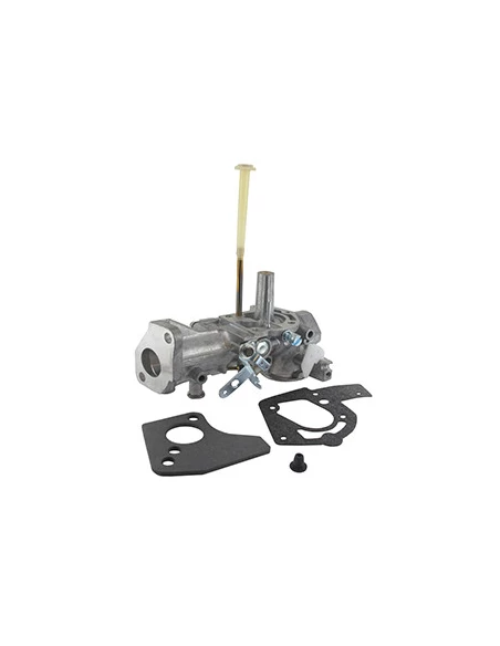 Carburateur Pour Moteur Briggs & Stratton, Se Monte Sur Les Séries: 080201, 080202 - Origine: 495459, 490524, 492645.