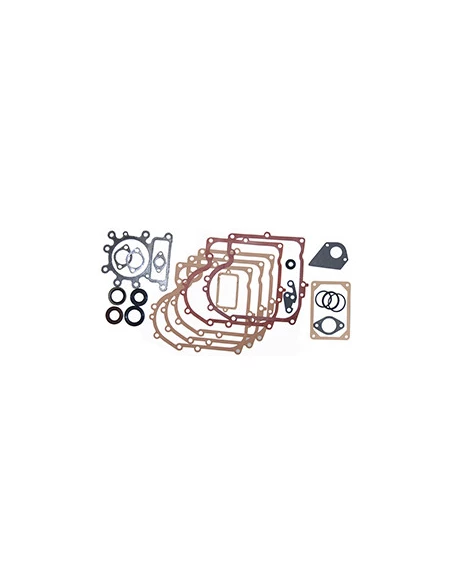 Pochette De Joint Pour Moteur Briggs & Strtton, Se Monte Sur Les Séries: 287707, 287777, 28n707 - Origigne:495993, 494378.