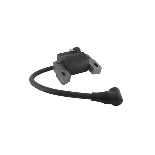 Bobine D'allumage Pour Moteur Briggs & Stratton, Se Monte Sur Les Séries: 122l02, 122l05, 122l07, 122m02, 122m05 - Origine: 5904