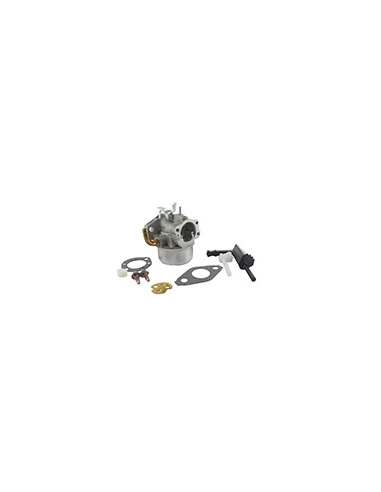 Carburateur Briggs & Stratton Pour Moteur Moteur Séries: 120212, 120302, 120312, 120317, 120332 - Origine: 591299, 791991, 79865