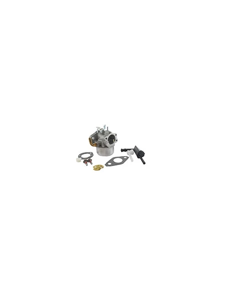 Carburateur Briggs & Stratton Pour Moteur Moteur Séries: 120212, 120302, 120312, 120317, 120332 - Origine: 591299, 791991, 79865