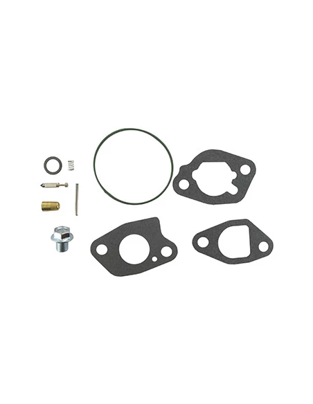 Kit Réparation Carburateur Pour Moteur Briggs & Stratton, Se Monte Sur Les Séries: 106232 - Origine: 591770.