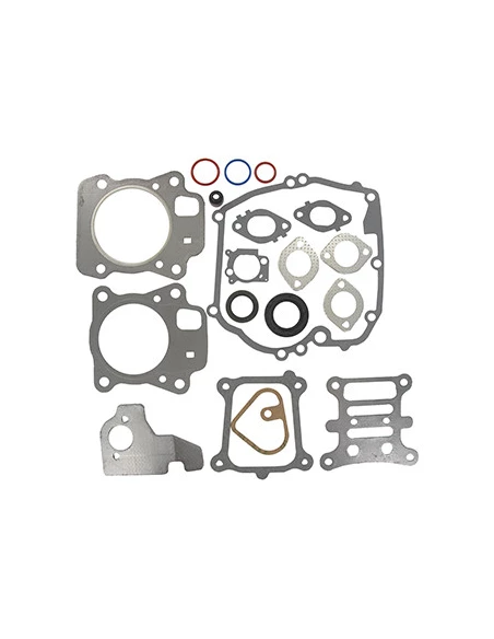 Pochette De Joint Pour Moteur Briggs & Stratton, Se Monte Sur Les Séries: 110p02, 111p02, 111p05, 112p02, 112p05, 112p07, 120p02