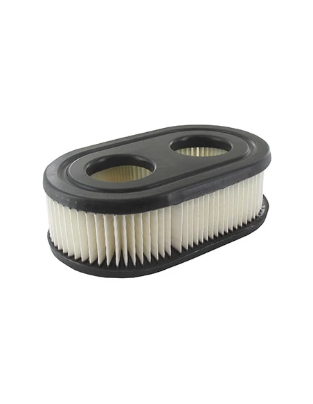 Filtre À Air Briggs & Stratton Pour Moteur Séries : 092j0b, 093j02 - Origine: 5931260, 798452.