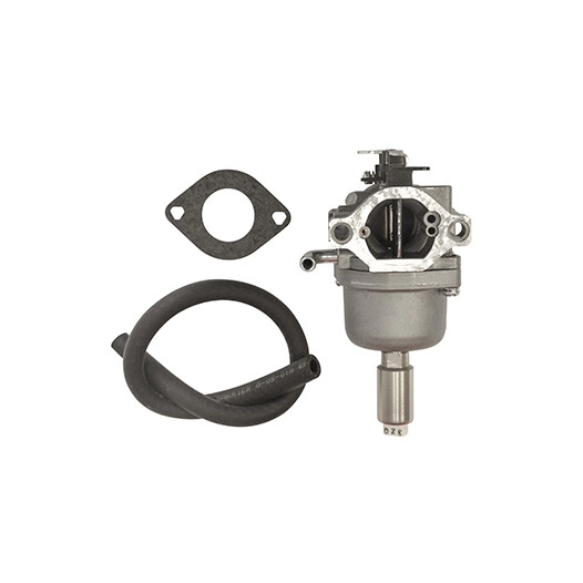 Carburateur Pour Moteur Briggs & Stratton, Se Monte Sur Les Séries 31a507, 31a607, 31a707, 31a807, 31c707, 31e577, 31e607, 31e67