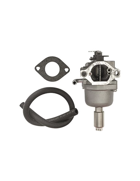 Carburateur Pour Moteur Briggs & Stratton, Se Monte Sur Les Séries 31a507, 31a607, 31a707, 31a807, 31c707, 31e577, 31e607, 31e67