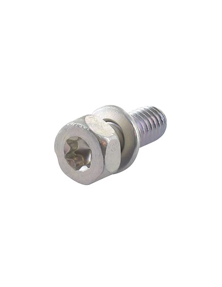 Vis Pour Moteur Briggs & Stratton, Se Monte Sur Les Séries: 194702, 194706, 194707, 195702, 195703, 195706 - Origine: 690341