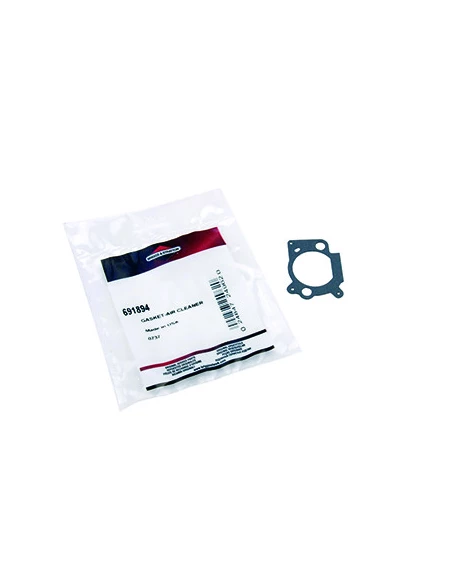 Joint De Filtre À Air Pour Moteur Briggs & Stratton, Se Monte Sur Les Séries: 090602, 100602 - Origine: 691894, 273364.
