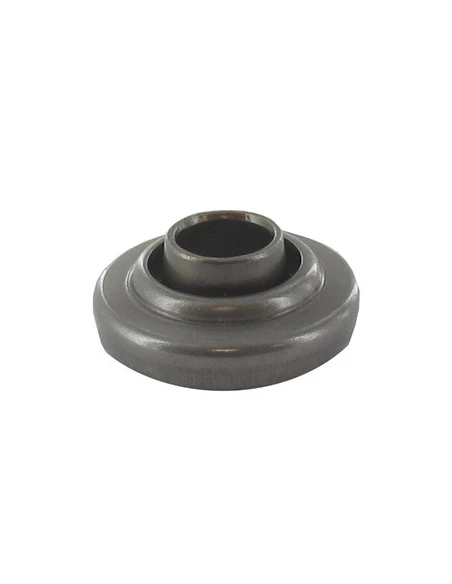 Coupelle Appui Soupape Briggs & Stratton Se Monte Sur Les Séries: 192402, 192412, 192417, 192432 - Origine 292260, 691939.