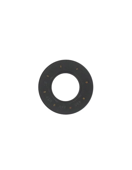 Joint Spi Pour Moteur Briggs & Stratton , Se Monte Sur Les Séries: 091202, 091212 - Origine: 692020, 495355.