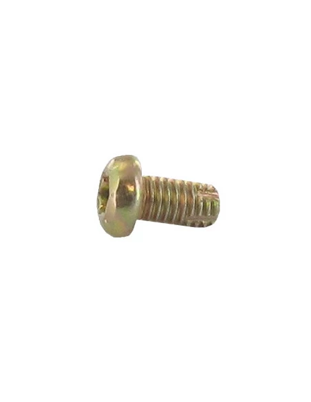 Vis De Fixation De Support Pour Moteur Briggs & Stratton, Se Monte Sur Les Séries: 196402, 196412, 196417, 196422, 196432 - Orig