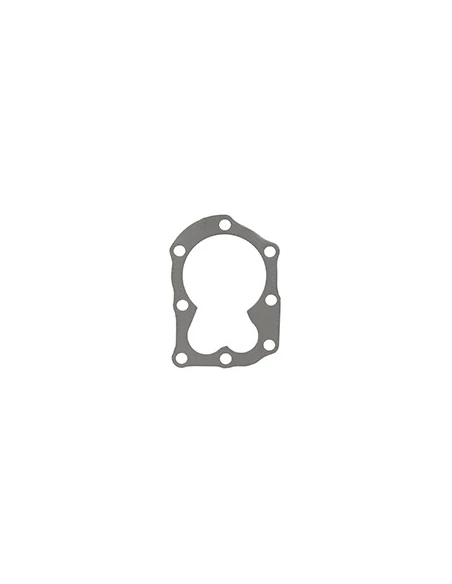Joint De Culasse Briggs & Stratton Pour Moteur Séries: 091202, 091212 - Origine: 698717, 698288, 272536.