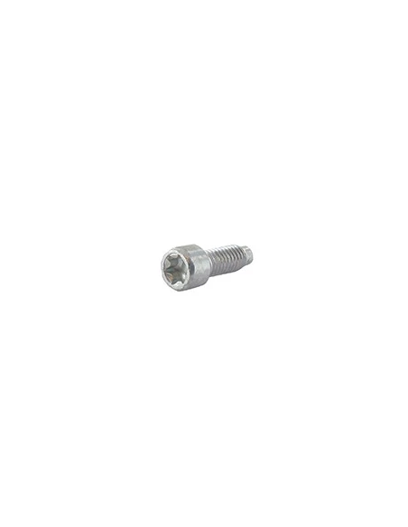 Vis De Fixation Pour Moteur Briggs & Strtton, Se Monte Sur Les Séries: 210702, 210807, 212702, 212707, 212802, 212902, 212907, 2