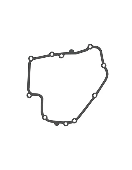 Joint De Carter (0.15 - Standard) Pour Moteur Briggs & Stratton, Se Monte Sur Les Séries 090602, 100602 - Origine: 793445