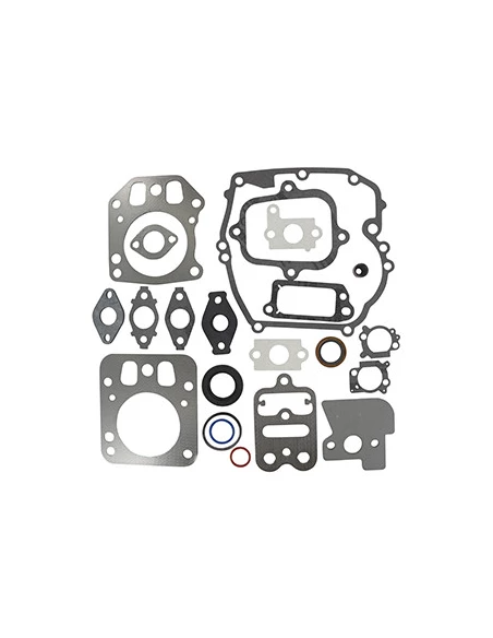 Gasket Set-Engine