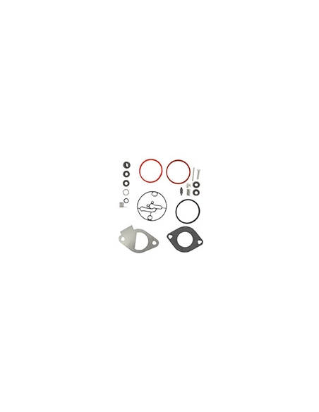 Kit De Réparation Carburateur Briggs & Stratton Pour Moteur Séries: 215702, 215707, 215802 - Origine: 796184, 698787, 699521, 79