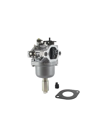 Carburateur Pour Moteur Briggs & Stratton, Se Monte Sur Les Séries: 28u.... - Origine: 791886, 495935, 698620, 799727.