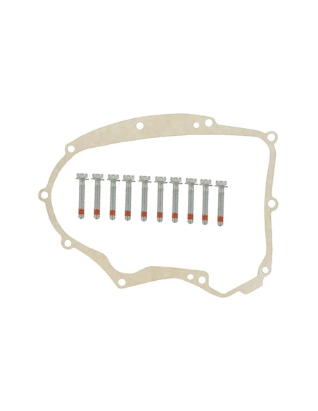 Joint De Carter Pour Moteur Briggs &STRATTON , Se Monte Sur Les Séries: 401577, 4045a7, 405577 - Origine: 697227,594195.