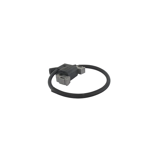 Bobine D'allumage Pour Moteur Briggs & Stratton, Se Monte Sur Les Séries: 21r602, 21r607, 21r677, 21r702, 21r706, 21r707 - Origi