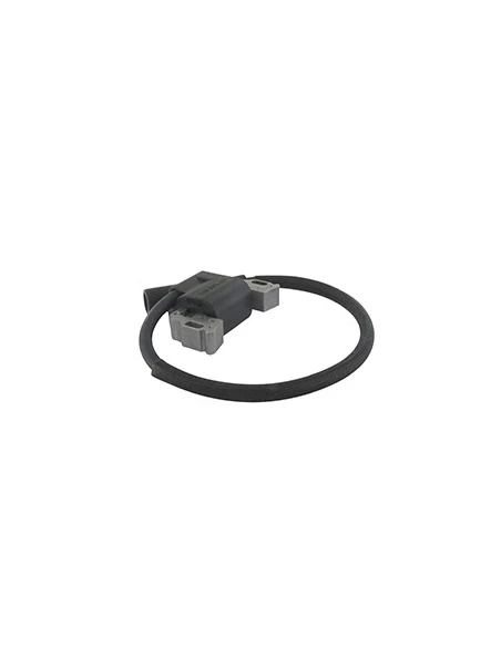Bobine D'allumage Pour Moteur Briggs & Stratton, Se Monte Sur Les Séries: 21r602, 21r607, 21r677, 21r702, 21r706, 21r707 - Origi