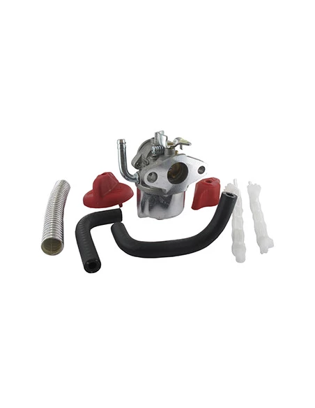 Carburateur Pour Moteur Briggs & Stratton, Se Monte Sur Les Séries: 12a102, 12a105, 12a112, 12a114, 12a116, 12a117, 12a312, 12c1