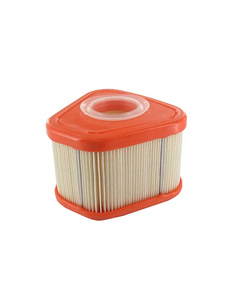Filtre À Air Pour Moteur Briggs & Stratton, Se Monte Sur Les Séries: 115p02, 115p05, 123p02, 123p07, 123p0b, 123p32, 125p02 - Or