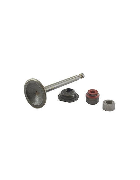 Soupape D'admission Pour Moteur Briggs & Stratton, Se Monte Sur Les Séries: 103m02 - Origine: 594094.