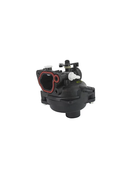 Carburateur Pour Moteur Briggs & Stratton, Se Monte Sur Les Séries: 08p502 - Origine: 595656, 591979.