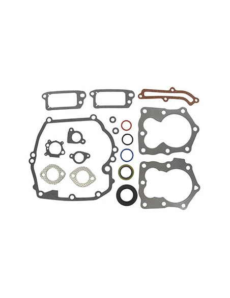 Pochette Joints Pour Moteur Briggs & Stratton Se Monte Sur Les Séries 120502, 120h02, 120h07, 120k02, 120l02, 120t02, 121h02, 12