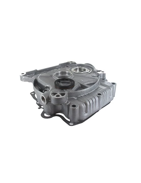 Carter Inferieur Pour Moteur Briggs & Stratton - Origine : 592849,697188