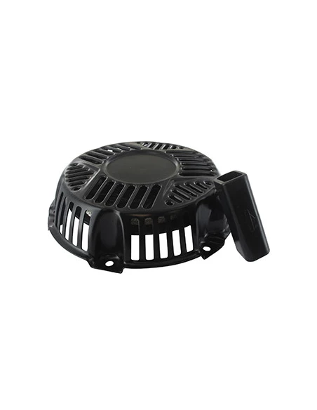 Lanceur Briggs & Stratton 591607