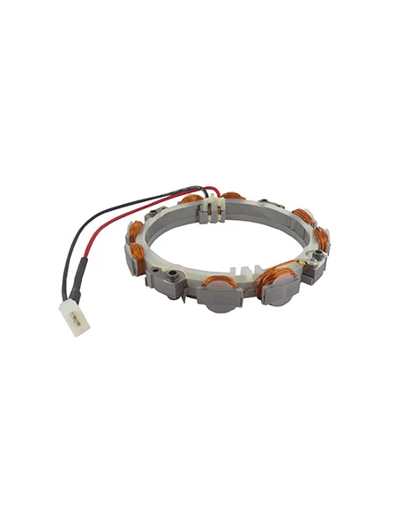 Alternateur (dual Circuit) Pour Moteur Briggs & Stratton, Se Monte Sur Les Séries 215802, 215807 Origine: 592831, 696459