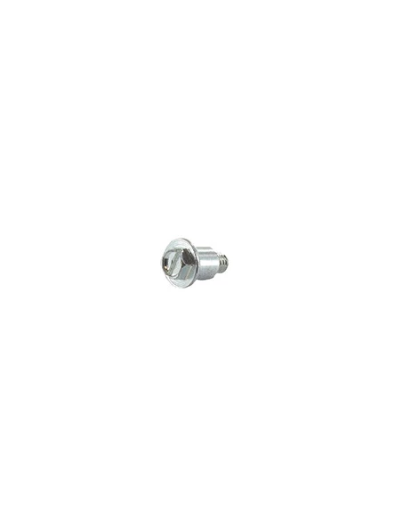 Vis (plaque De Friction À Cliquet) Pour Moteur Briggs & Stratton, Se Monte Sur Les Séries: 091202, 091212 - Origine:691696, 9494