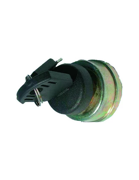 Contacteur À Clé 3 Positions, 5 Bornes Adaptables Pour Castelgarden Modèles Tc Et Tcp, Viking. Remplace Origine: 118450065/1, 61